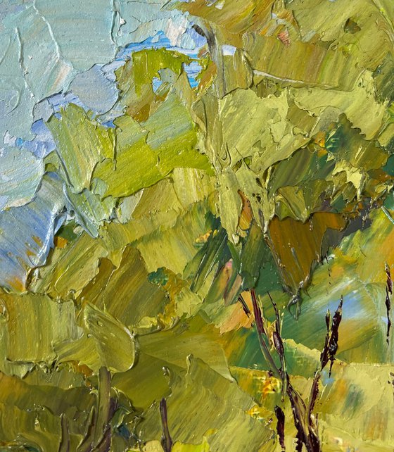 Willows over the Water