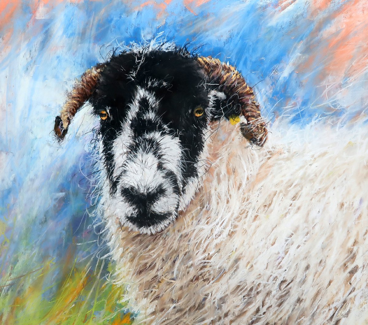Sheep Study by Brian Halton