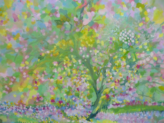 Cherry Blossom Lane