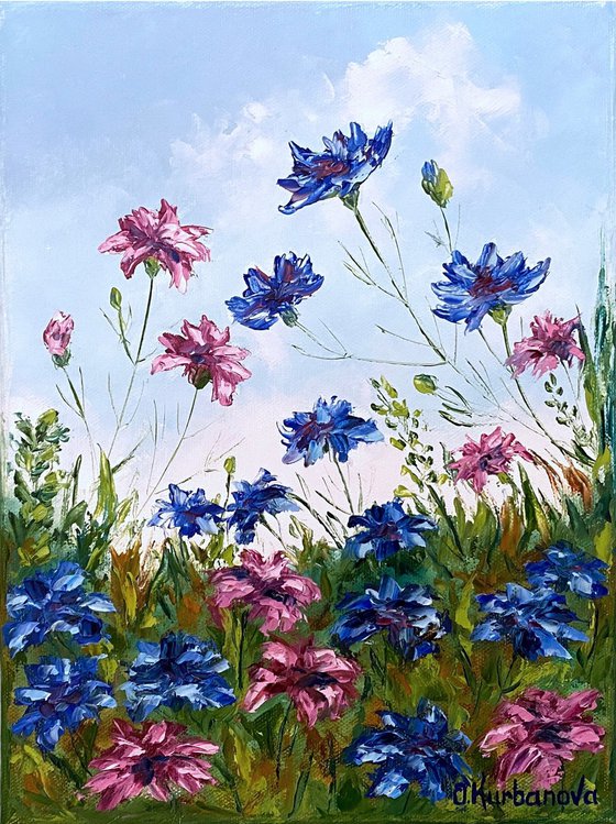 Blue and pink cornflowers