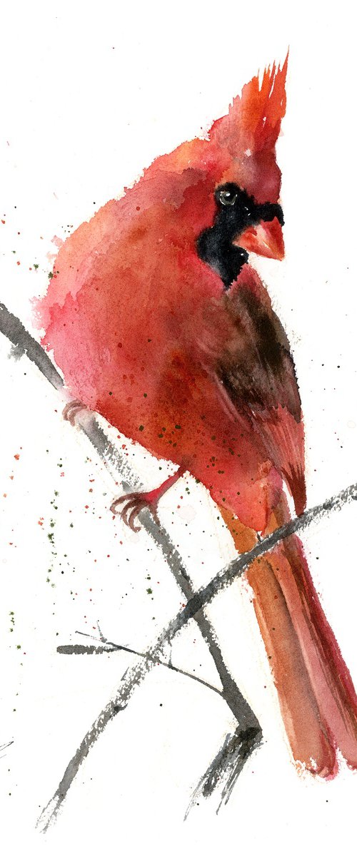 Watercolor Cardinal by Olga Tchefranov (Shefranov)