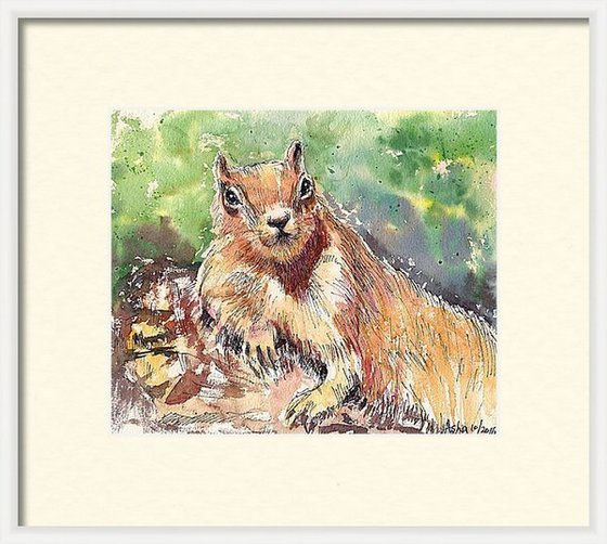 Set of Nutty Squirrels