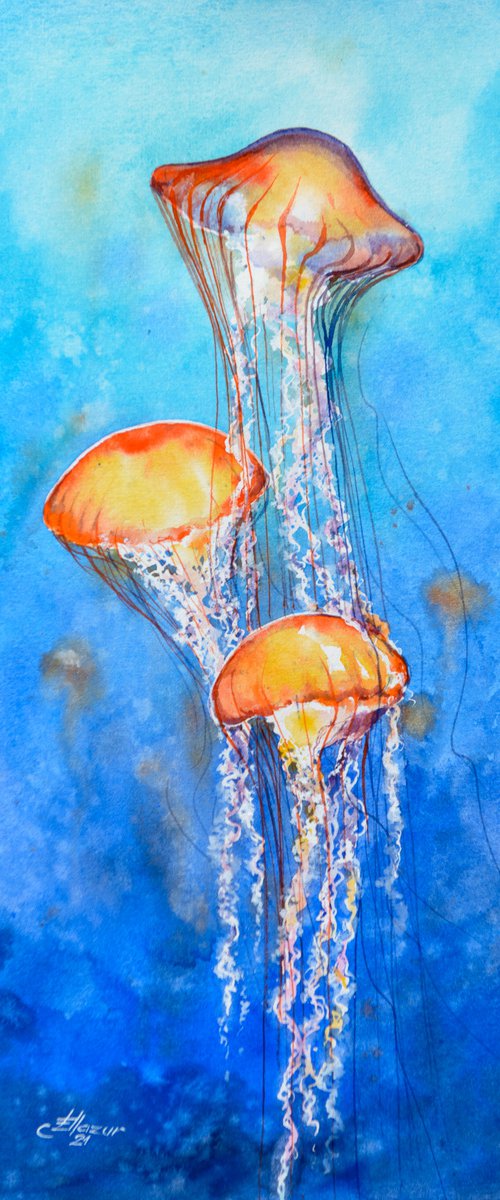 Jellyfish by Eve Mazur