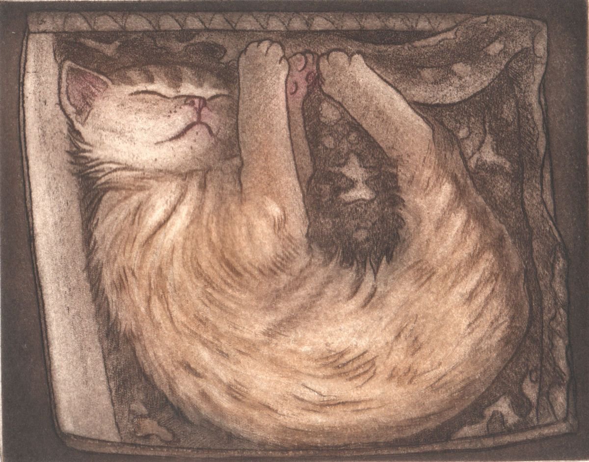 Illustrative Animal Etchings & Engravings By Theresa Pateman, 15 X 11", Cat In A Box, Original Artwork