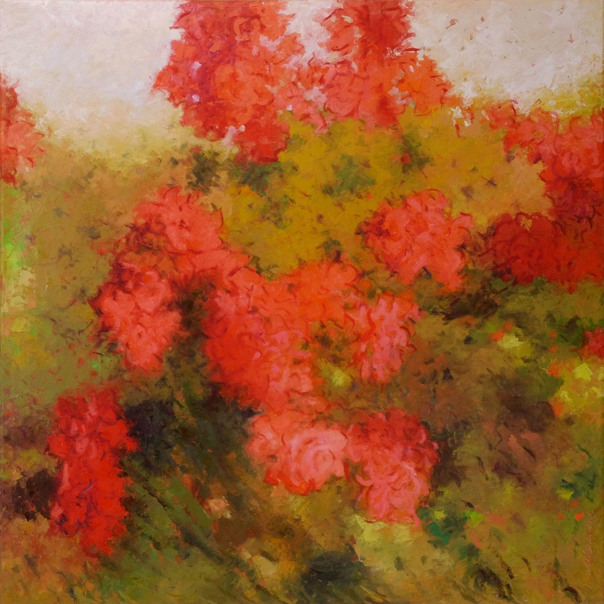 Organic Landscape Oil Painting By Richard Mierniczak, 39 X 39", Rosebush 1., Original Artwork