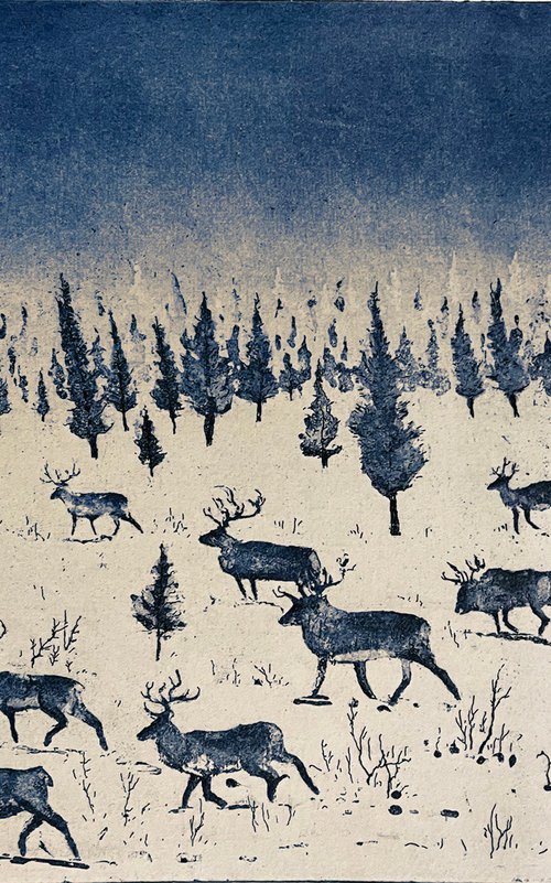 Where Reindeer Roam by Tim Southall