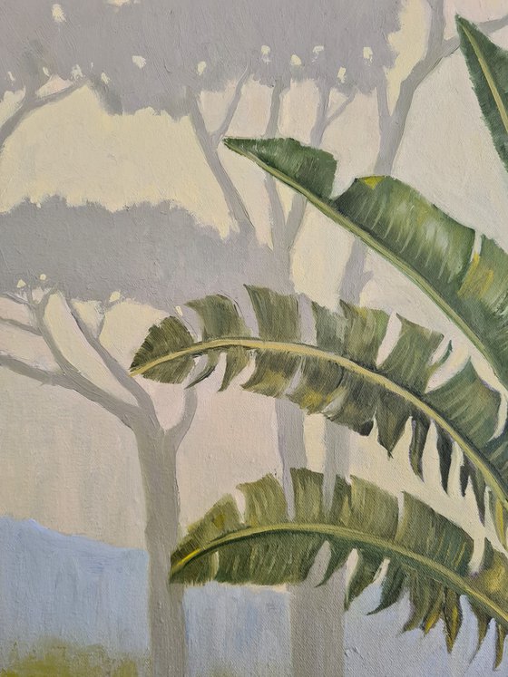 Hazy Tropical Scenery