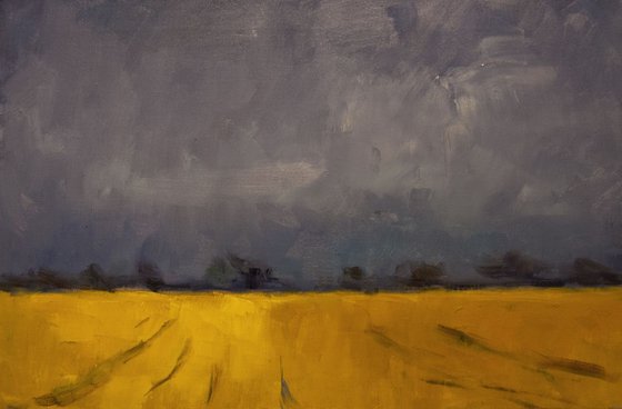 Dark Sky, Yellow Field