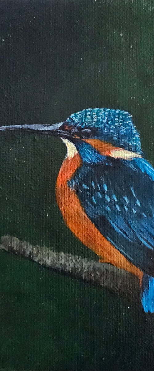 Painting 'Kingfisher's Perch' by Denise Martens