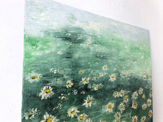 Daisies 2