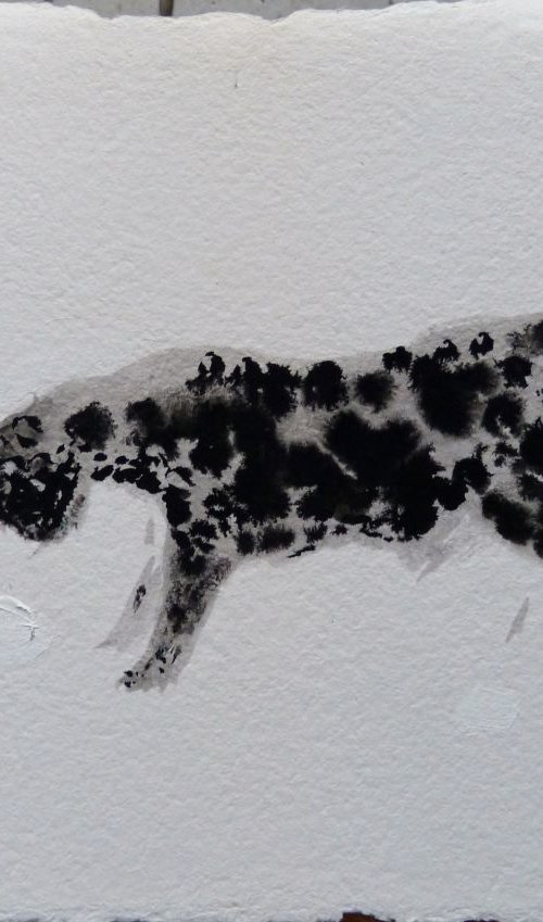 The spotty cat, ink drawing oh heavy art paper 30x44 cm by Frederic Belaubre