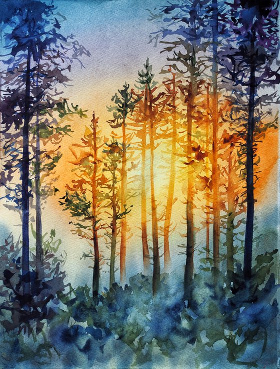 Sunset in the forest