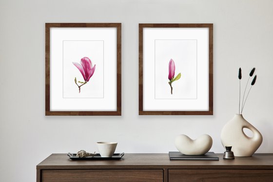 Magnolia blossom. A flower bud. Original watercolor artwork.