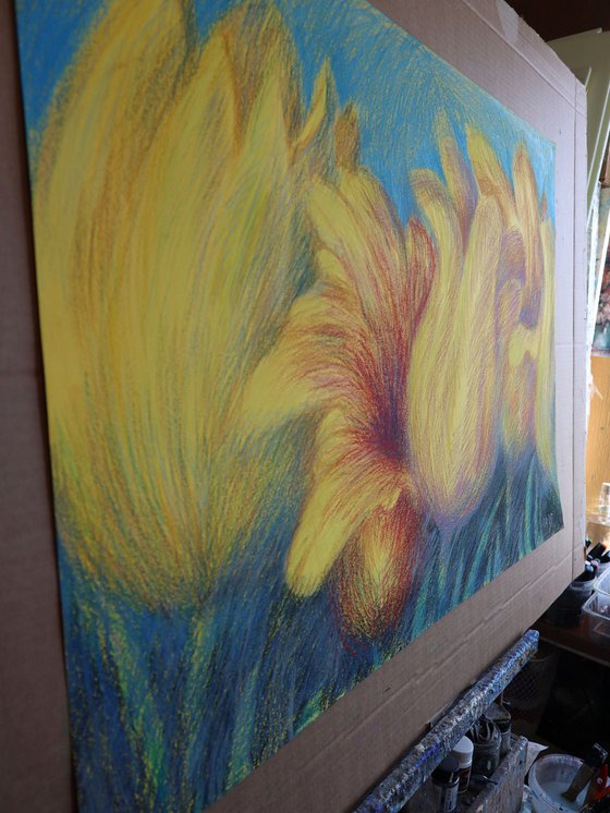 Tulips Yellow 4