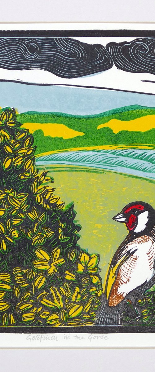 Goldfinch in the Gorse by Keith Alexander