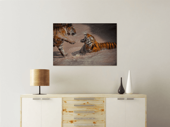 Tigers in Tension