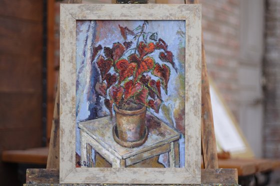 Romantic Still Life with Begonia in a Pot in Blue Frame