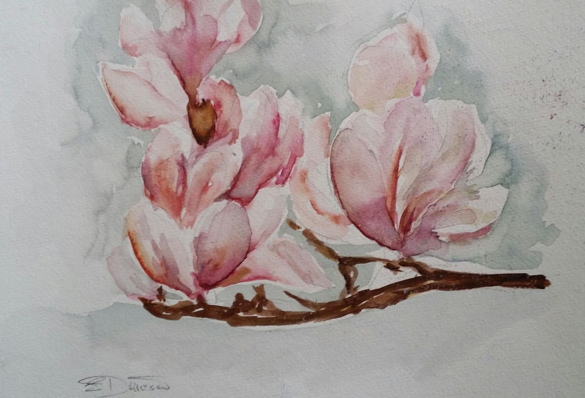 Impressionistic Botanical Watercolour By Els Driesen, 16 X 12, Magnolia, Original Artwork