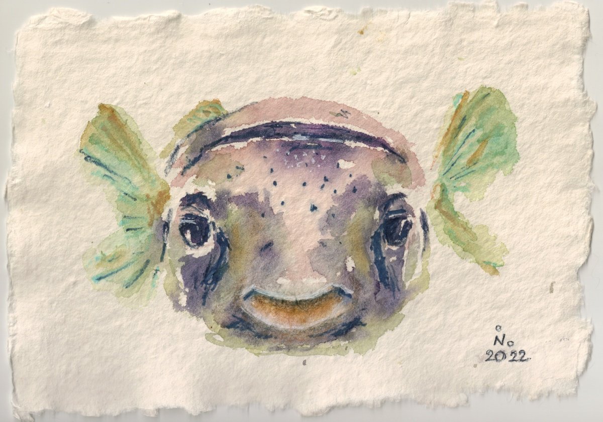 Puffer Fish by Ilona Borodulina