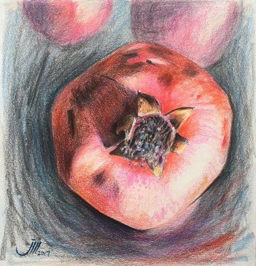 No.71, A Pomegranate on a steel tray by sedigheh zoghi