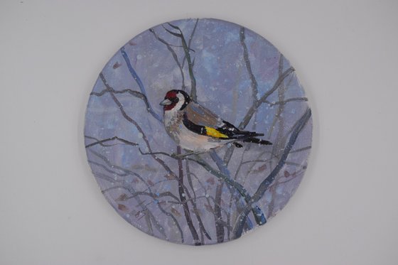 Goldfinch - 2