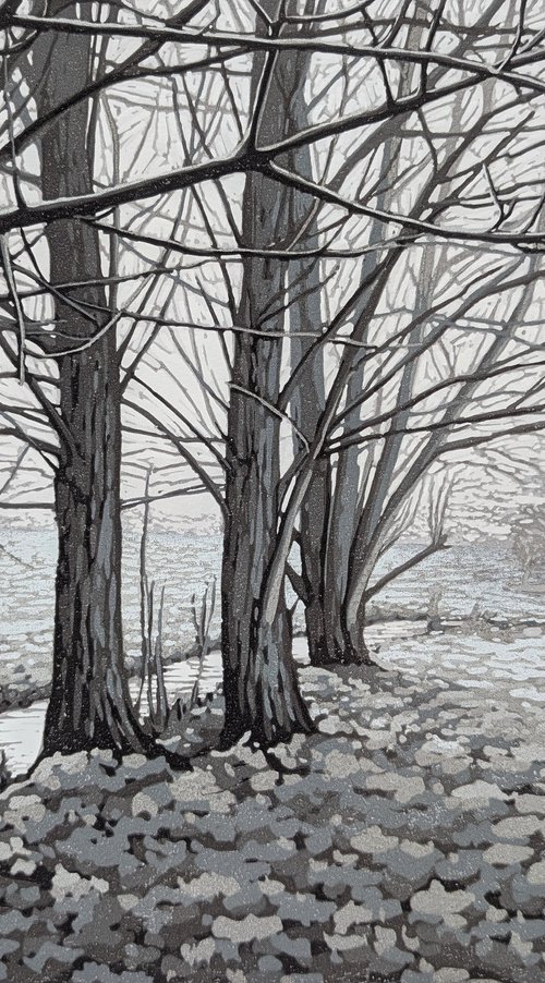 Wintry Trees by Alexandra Buckle
