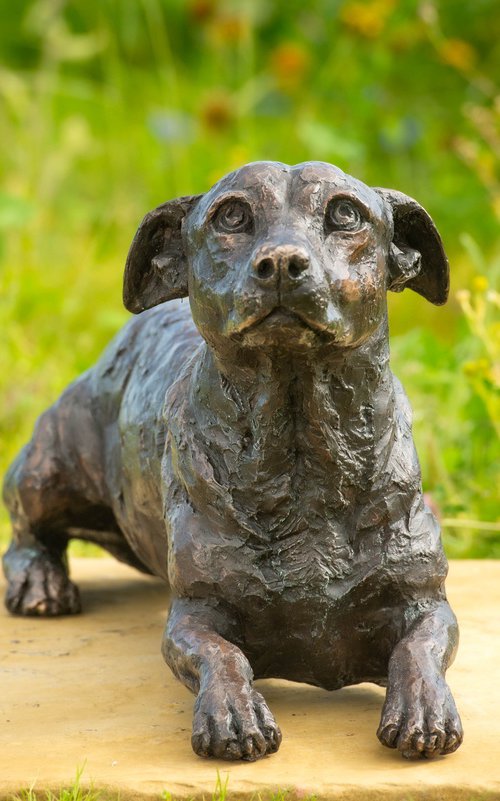 'Jasper' Lying Jack Russell by Tanya Russell