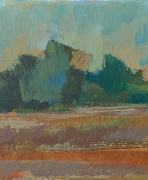 Longrun Meadow by Adam Grose MA PGCE
