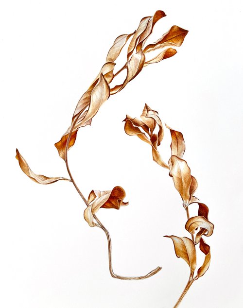 Autumn dance 28x38cm (2021) original botanical art by Alisa Diakova