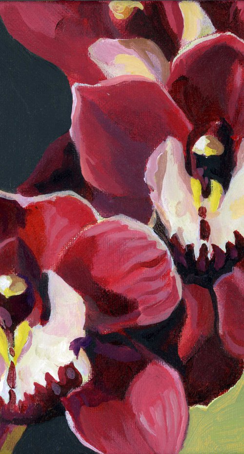 Red orchids acrylic floral by Alfred  Ng
