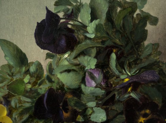 Pansies, 50x80cm, oil on canvas, 2018, original classic still life