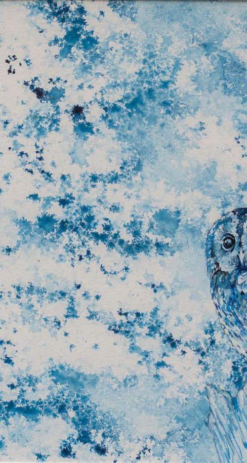 Tawny Owl in Blue by Hannah  Bruce