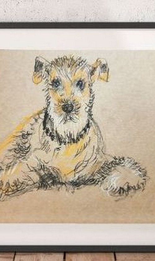 Wire Fox Terrier drawing by Asha Shenoy