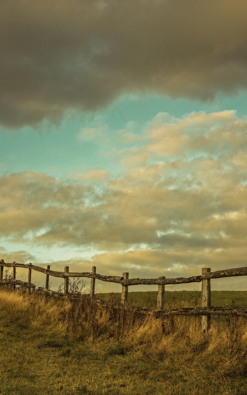 Fence up to Stocks by Adam Regan