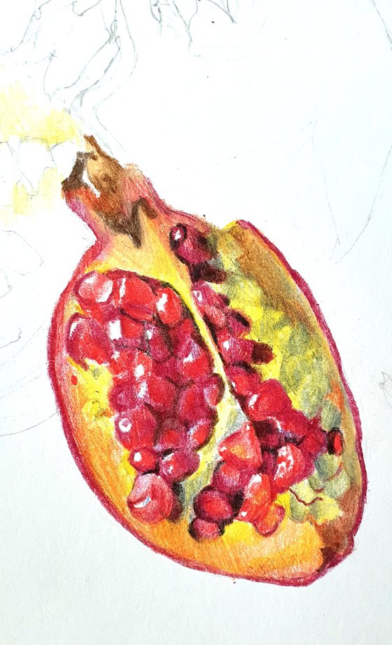 The juicy pulp of pomegranate