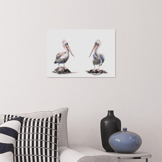 Pelicans Diptych