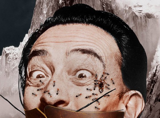 Portrait of Salvador Dali (No:1)