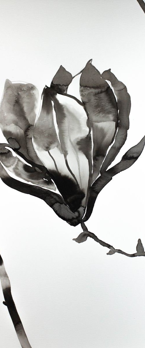 Magnolia No. 22 by Elizabeth Becker