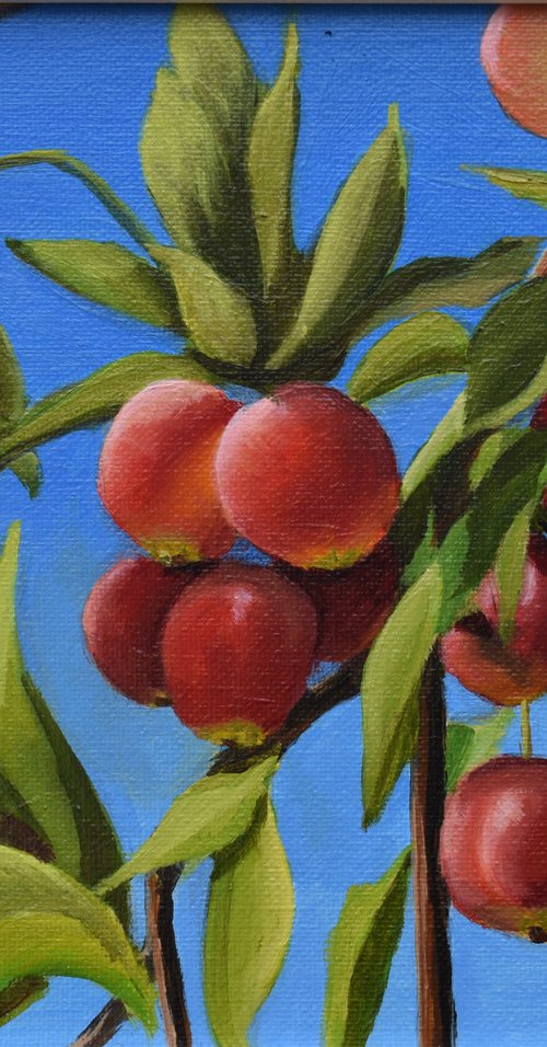 Late Summer Crab Apples by Gilbert Lessard