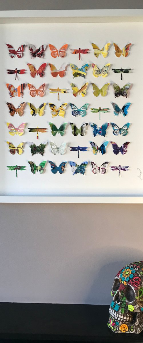 Rainbow Wings New Collection by Hernan Reinoso