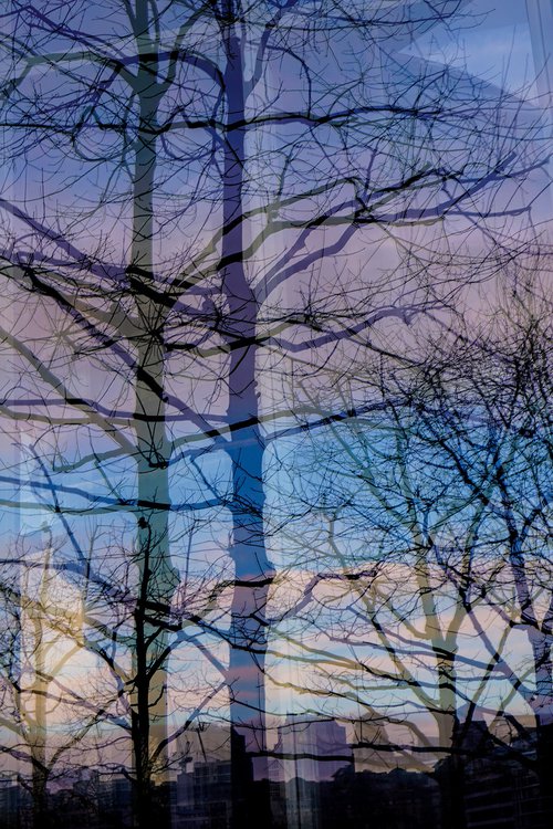 Riverside trees LONDON ( LIMITED EDITION 3/20) 8"X12" by Laura Fitzpatrick