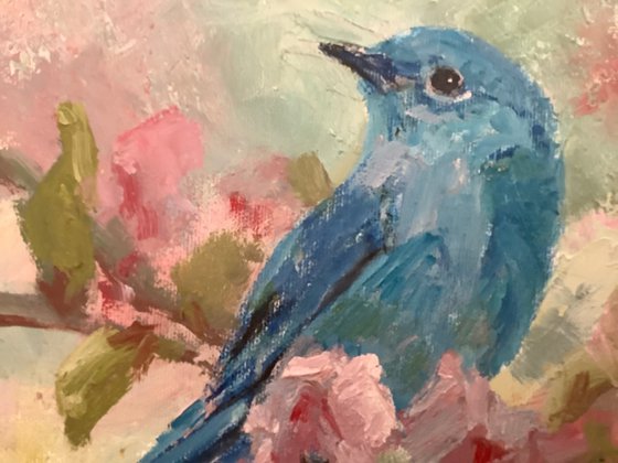 Blue Bird