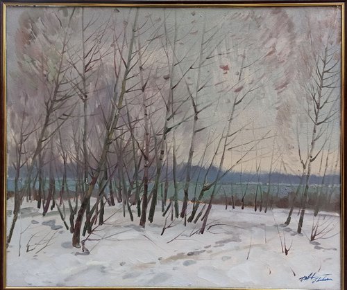 Winter landscape by Peter Tovpev
