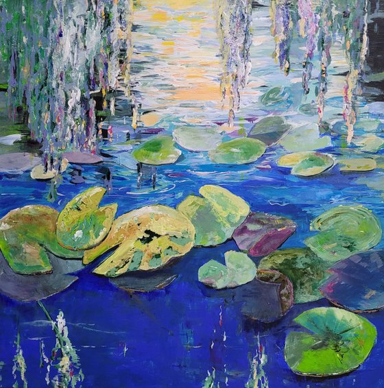 Water lilies in the morning light