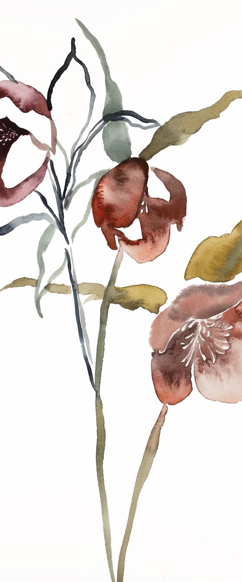 Hellebore No. 16 by Elizabeth Becker