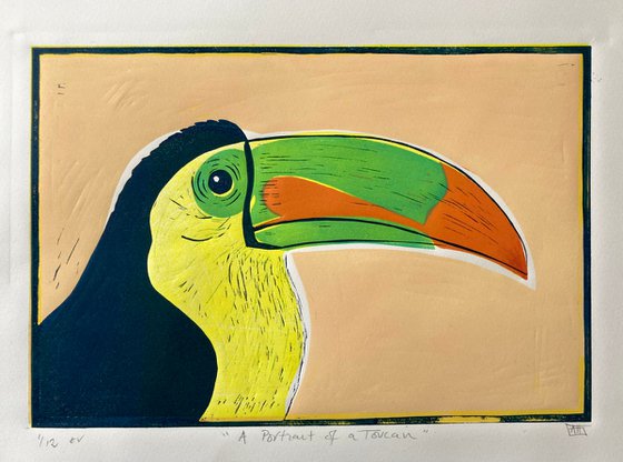 A Portrait of a Toucan