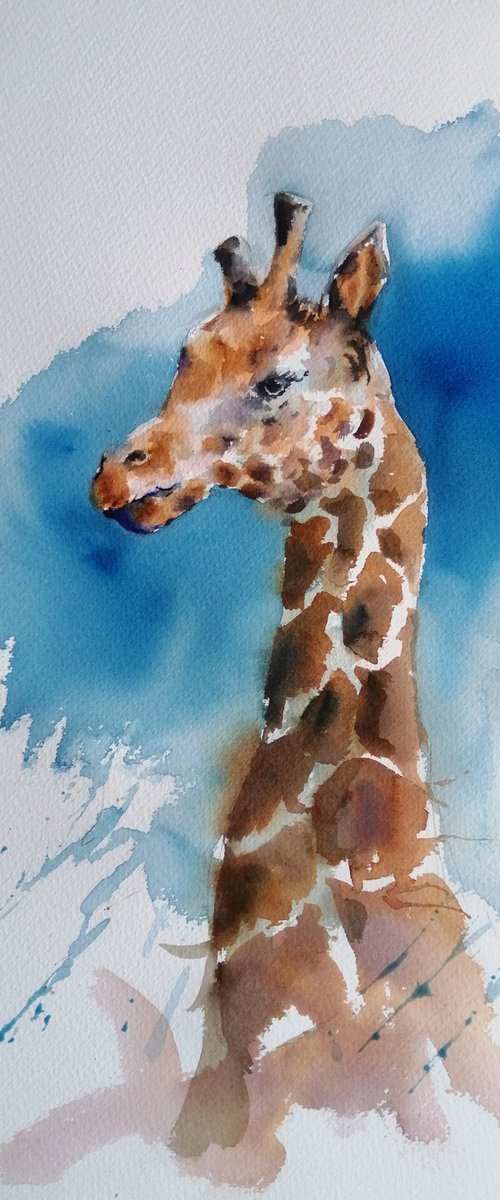 giraffes 8 by Giorgio Gosti