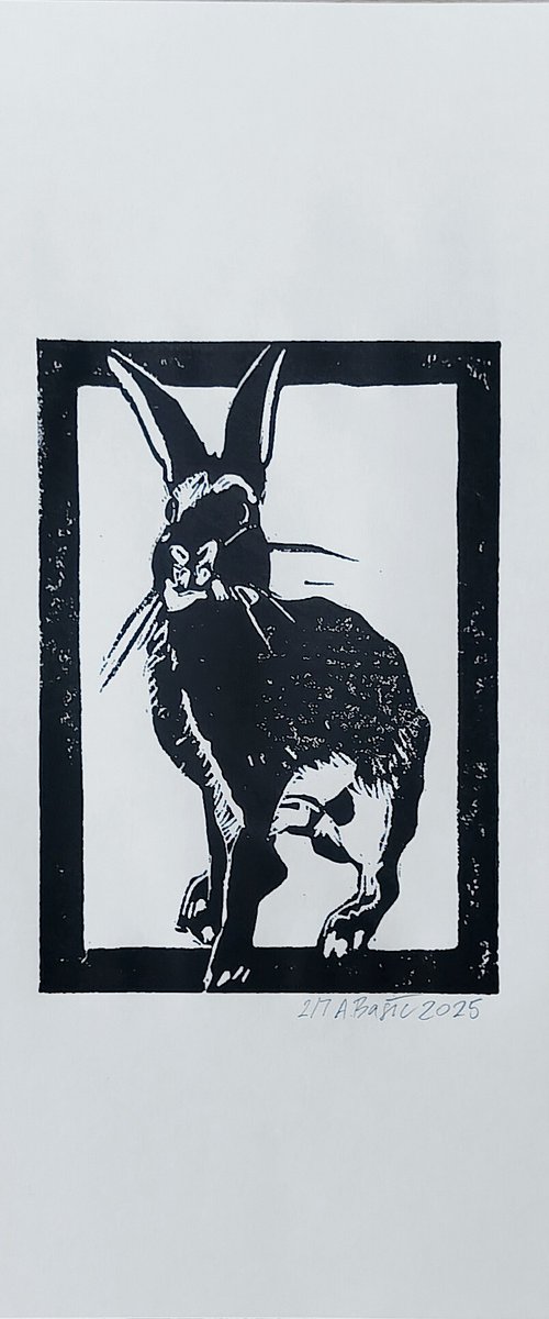 Rabbit 2/7 by Aleksandar Bašić
