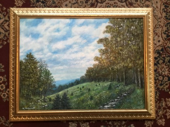 HIGH MEADOW with Pine Seedlings - oil 15X20