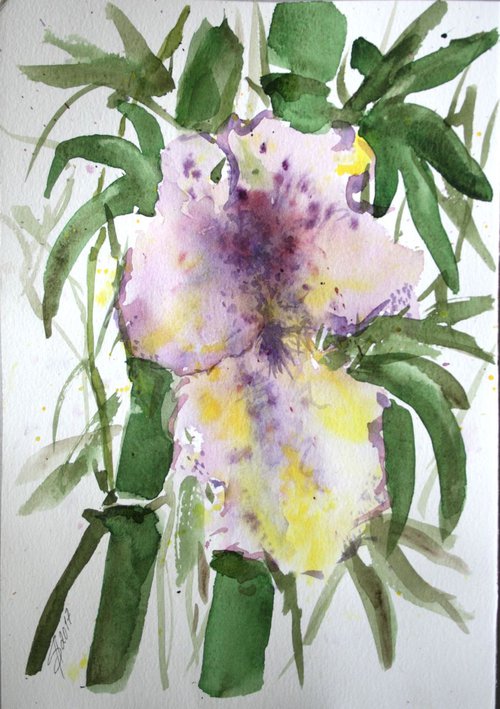 Orchid by Salana Art Gallery